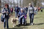 Busloo Apeldoorn 21 april 2013
Royal Canin organiseert grootste wandeltocht voor hond voor stichting Hulphond. Ambassadrices Anita Witzier Anouk Smulders en Martin Gaus lopen ook mee.
Peter Smulders bv