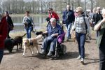 Busloo Apeldoorn 21 april 2013
Royal Canin organiseert grootste wandeltocht voor hond voor stichting Hulphond. Ambassadrices Anita Witzier Anouk Smulders en Martin Gaus lopen ook mee.
Peter Smulders bv