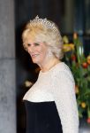 Amsterdam, 29 April 2013
Camilla Parker Bowles met haar man Prins Charles
Foto Peter Smulders BV