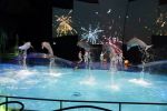 Harderwijk 14 mei 2013
Premiere nieuwe show in het dolfinarium. Dolfinarium
Peter Smulders bv
