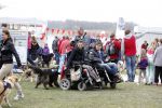 Busloo Apeldoorn 21 april 2013
Royal Canin organiseert grootste wandeltocht voor hond voor stichting Hulphond. Ambassadrices Anita Witzier Anouk Smulders en Martin Gaus lopen ook mee.
Peter Smulders bv