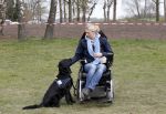 Busloo Apeldoorn 21 april 2013
Royal Canin organiseert grootste wandeltocht voor hond voor stichting Hulphond. Ambassadrices Anita Witzier Anouk Smulders en Martin Gaus lopen ook mee.
Peter Smulders bv