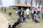 Busloo Apeldoorn 21 april 2013
Royal Canin organiseert grootste wandeltocht voor hond voor stichting Hulphond. Ambassadrices Anita Witzier Anouk Smulders en Martin Gaus lopen ook mee.
Peter Smulders bv