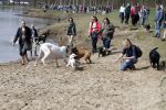 Busloo Apeldoorn 21 april 2013
Royal Canin organiseert grootste wandeltocht voor hond voor stichting Hulphond. Ambassadrices Anita Witzier Anouk Smulders en Martin Gaus lopen ook mee.
Peter Smulders bv
