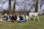 Busloo Apeldoorn 21 april 2013
Royal Canin organiseert grootste wandeltocht voor hond voor stichting Hulphond. Ambassadrices Anita Witzier Anouk Smulders en Martin Gaus lopen ook mee.
Peter Smulders bv