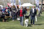 Voorst 21 april 2013
Jacques Herb met zijn vrouw Diny en hond.
Peter Smulders bv