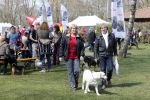 Voorst 21 april 2013
Jacques Herb met zijn vrouw Diny en hond.
Peter Smulders bv
