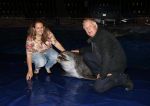 Harderwijk 14 mei 2013
Premiere nieuwe show in het dolfinarium. Peter Jan Rens met zijn nieuwe vriendin
Peter Smulders bv