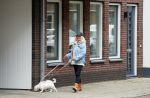 Aalsmeer 29 april 2015
Bonnie st Claire loopt met haar hondjes voorbij haar nieuwe huis.