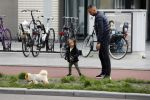 Amsterdam 17 mei 2016 
Demy de Zeeuw laat samen met zijn dochter de hond uit.