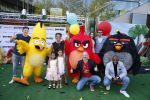Amsterdam 7 mei 2016
Premiere Angry birds in pathe arena met oa de nederlandse stemmencast , Enzo Knol Ruben Nicolai Murth Mossel Eddy Zoe en Robin Martens. Eddy met dochters