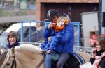 Zwolle 27 april 2016
Koningsdag in Zwolle met Koning Willem Alexander Koningin Maxima Prinses Amalia Ariane Alexia Prins Constantijn Prinses Laurentien Prins Maurits Prinses Marilene Prins Bernhard Prinses Annette Prins Pieter Christiaan Prinses Anita Prins Floris en Prinses Aimee. Jeroen Dubbeldam