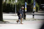 Amsterdam 14 mei 2016
Martijn Krabbe en zijn vriendin Noi Pakon aan het wandelen met de hond in het park.
Jeroen Krabbe met kleinzoon op bezoek bij Martijn