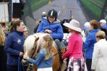 Zwolle 27 april 2016
Koningsdag in Zwolle met Koning Willem Alexander Koningin Maxima Prinses Amalia Ariane Alexia Prins Constantijn Prinses Laurentien Prins Maurits Prinses Marilene Prins Bernhard Prinses Annette Prins Pieter Christiaan Prinses Anita Prins Floris en Prinses Aimee.