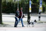 Amsterdam 14 mei 2016
Martijn Krabbe en zijn vriendin Noi Pakon aan het wandelen met de hond in het park.