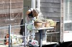 Amsterdam 7 mei 2016 
Noortje Herlaar geeft bloeme water op haar woonboot