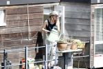 Amsterdam 7 mei 2016 
Noortje Herlaar geeft bloeme water op haar woonboot