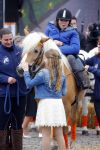 Zwolle 27 april 2016
Koningsdag in Zwolle met Koning Willem Alexander Koningin Maxima Prinses Amalia Ariane Alexia Prins Constantijn Prinses Laurentien Prins Maurits Prinses Marilene Prins Bernhard Prinses Annette Prins Pieter Christiaan Prinses Anita Prins Floris en Prinses Aimee.