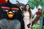 Amsterdam 7 mei 2016
Premiere Angry birds in pathe arena met oa de nederlandse stemmencast , Enzo Knol Ruben Nicolai Murth Mossel Eddy Zoe en Robin Martens. Robin met vriend  Kenzo Alvares met zijn (zusje/dochtertje??)