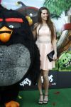 Amsterdam 7 mei 2016
Premiere Angry birds in pathe arena met oa de nederlandse stemmencast , Enzo Knol Ruben Nicolai Murth Mossel Eddy Zoe en Robin Martens. Robin met vriend  Kenzo Alvares met zijn (zusje/dochtertje??)