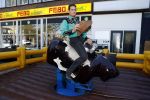 Amsterdam 8 mei 2017
Presentatie L'Homo met Douwe Bob op de cover. Linda de Mol overhandigt het eerste exemplaar.