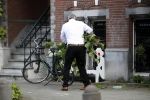 Amsterdam 11 mei 2017 
Jeroen Krabbe als tuinman voor zijn huis