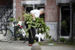 Amsterdam 11 mei 2017 
Jeroen Krabbe als tuinman voor zijn huis