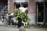 Amsterdam 11 mei 2017 
Jeroen Krabbe als tuinman voor zijn huis