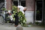 Amsterdam 11 mei 2017 
Jeroen Krabbe als tuinman voor zijn huis