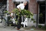 Amsterdam 11 mei 2017 
Jeroen Krabbe als tuinman voor zijn huis