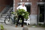 Amsterdam 11 mei 2017 
Jeroen Krabbe als tuinman voor zijn huis