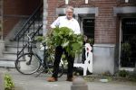Amsterdam 11 mei 2017 
Jeroen Krabbe als tuinman voor zijn huis