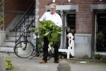 Amsterdam 11 mei 2017 
Jeroen Krabbe als tuinman voor zijn huis