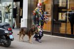 Amsterdam 4 april 2017  
Petra Heyboer met hond op de pc hooftstraat