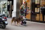 Amsterdam 4 april 2017  
Petra Heyboer met hond op de pc hooftstraat