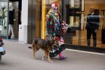 Amsterdam 4 april 2017  
Petra Heyboer met hond op de pc hooftstraat