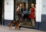 Amsterdam 4 april 2017  
Petra Heyboer met hond op de pc hooftstraat