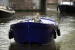 Amsterdam 13 mei 2017 
Prins Berenhard jr aan het varen in zijn waterdream sloep (boot) met zijn dochter Isabella en haar vriendinnen op de grachten van Amsterdam. Tijdens het varen regent het behoorlijk.