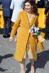 Tilburg 27 april 2017
Koningsdag in tilburg. Aanwezige leden van de koninklijke familie zijn, Koning Willem Alexander Koningin Maxima Prinses Amalia Ariane Alexia, Prins Constantijn prinses Laurentien Prins Maurits Prinses Marilene Prins Bernhard jr Prinses Annette Prins Floris Prinses Aimee Prins Pieter Christiaan en Prinses Anita. Guus Meeuwis en Gers Pardoel zingen ze toe.