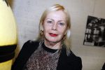 Amsterdam 8 mei 2017   
Victor Mids presengteert de nederlandse stemmencast van verschrikkelijke ikke 3 in de bijlmerbajes. De stemmen worden gedaan door Carlo Boszhard Jelle Stout Pip Pellens en Trudy Labij