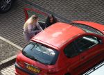 Roermond, 14 April 2018
Barbie bij de Gynaikon kliniek Roermond