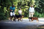 Hilversum 9 mei 2018
Emile Ratelband mag hier onder begeleiding zijn kinderen zien . Zijn ex Moon brengt de kinderen.