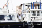Amsterdam / Loosdrecht 12 mei 2018
Jeroen Pauw en zijn vriendin Zoe doen boodschappen in Amsterdam waarna ze naar hun boot in Loosdrecht rijden.