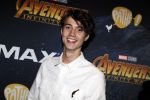 Amsterdam 24 april 2018
Premiere Avengers in pathe Arena. Niek Roozen