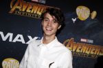 Amsterdam 24 april 2018
Premiere Avengers in pathe Arena. Niek Roozen