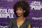 Amsterdam 16 april 2018
Premiere the color purple in de NDSM loods. Sylvana Simons kwam met een vriendin