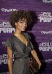 Amsterdam 16 april 2018
Premiere the color purple in de NDSM loods. Sylvana Simons kwam met een vriendin