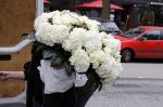 Hamburg 13 april 2018
Sylvie Meis viert haar 40e verjaardag oa met haar vader en moeder en haar broer Daniel. Ze gingen smiddags lunchen in Restaurant Daniel en s avonds was het feest in hotel Radisson Blue in Hamburg Bloemen.