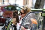Amsterdam 11 mei 2019
Connie Witteman met haar nieuwe hondje