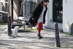 Amsterdam 1 april 2019
Yvonne Kroonenberg wandelen met haar hondje op de utrechtsestraat.